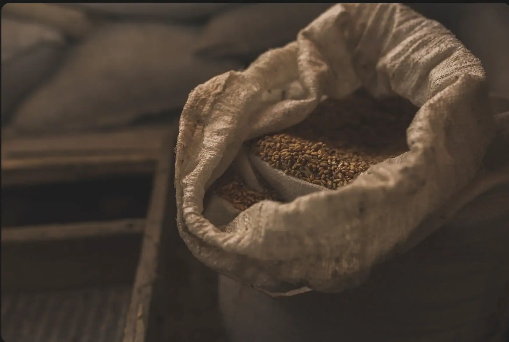 Food & Grain